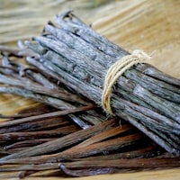 Gousse de vanille