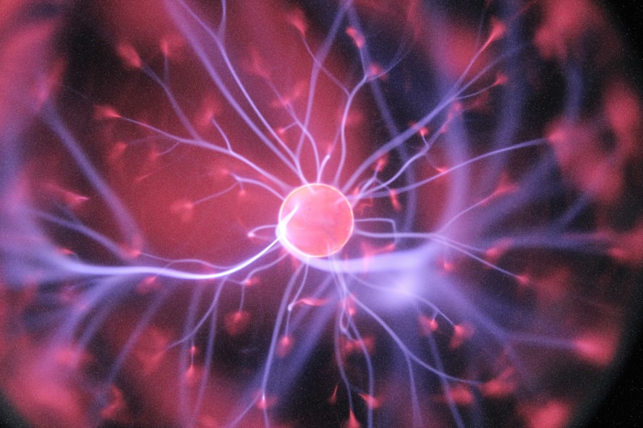 Bienfaits du keto sur le cerveau dès 48 heures