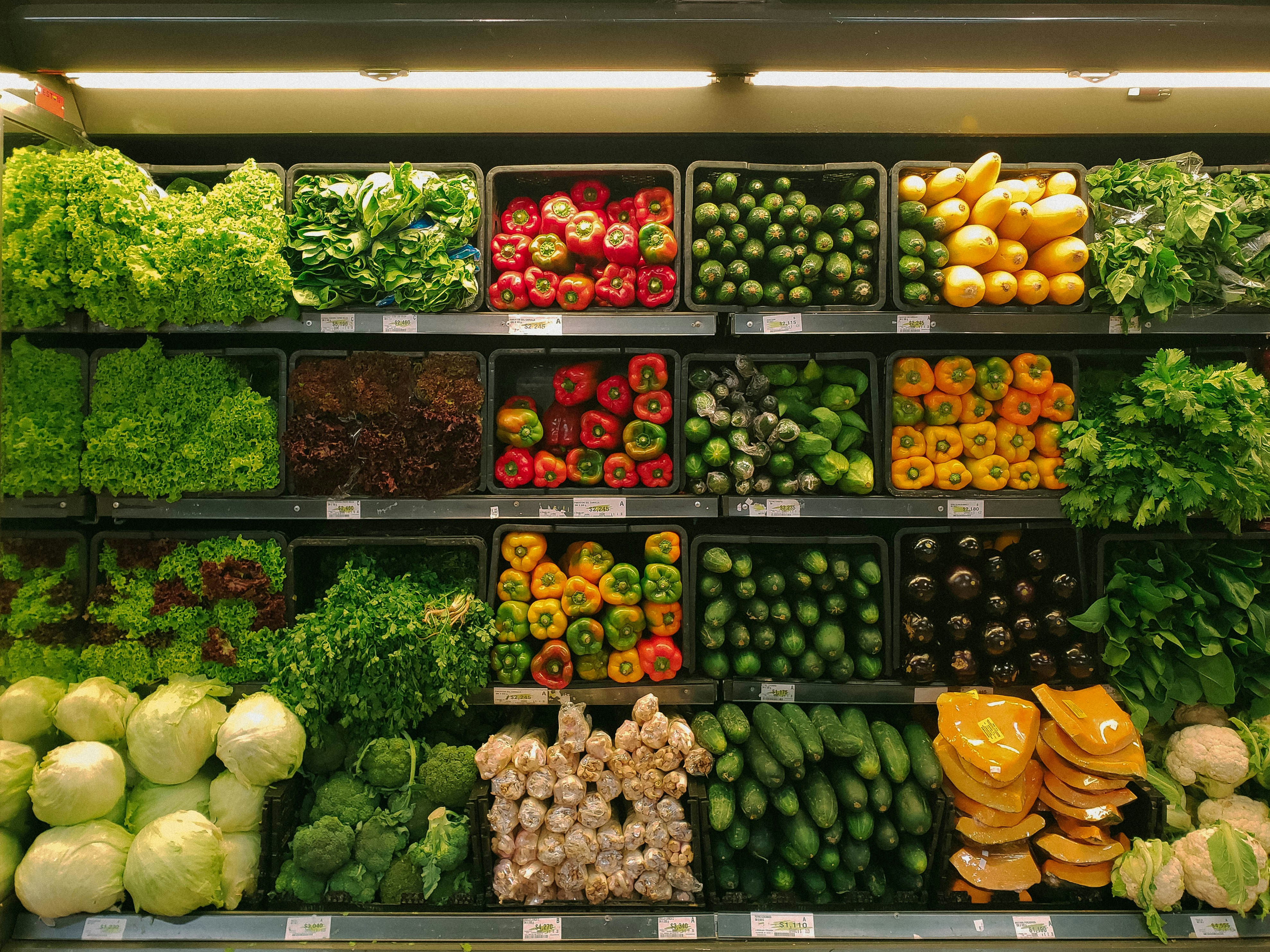 Top 15 des aliments low carb qui nourrissent votre microbiote