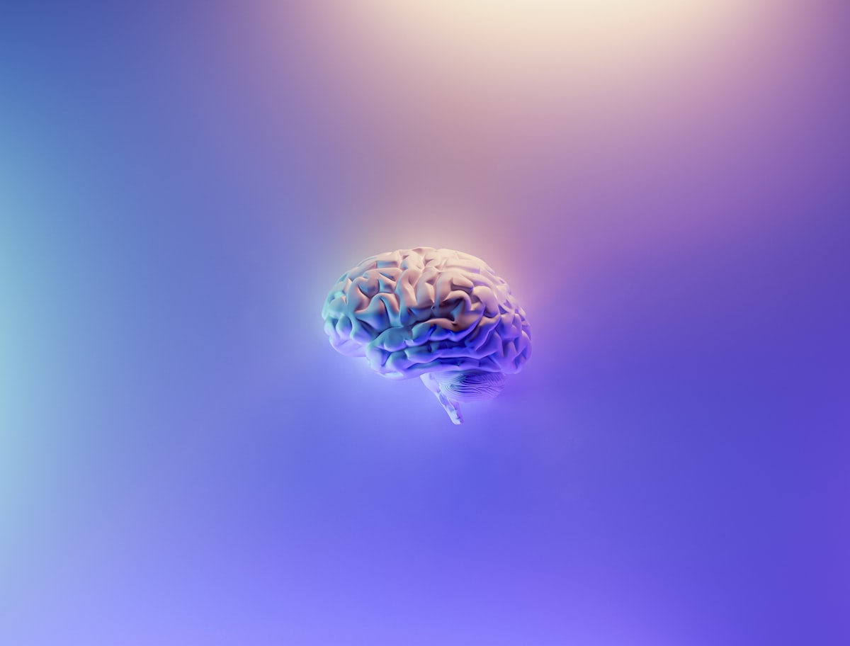Représentation du cerveau alimenté par les cétones