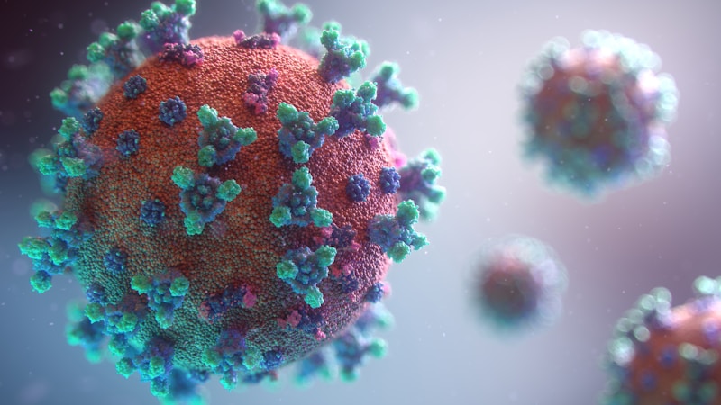 Cétones et axe intestin-cerveau : le microbiote keto