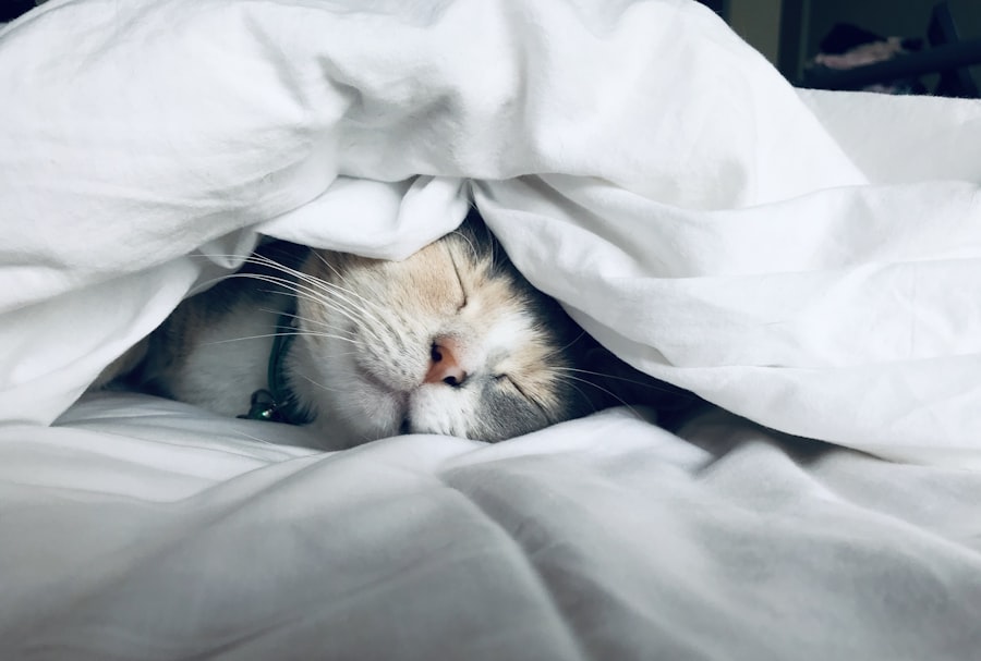 Keto et insomnie : Pourquoi vous vous réveillez à 3h du matin (et comment bloquer le cortisol)