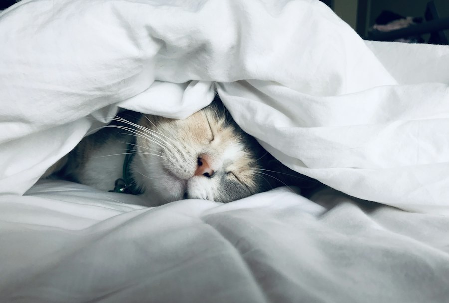 Femme dormant paisiblement